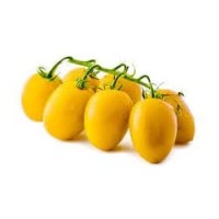 Pomodoro Dolcinetto Giallo