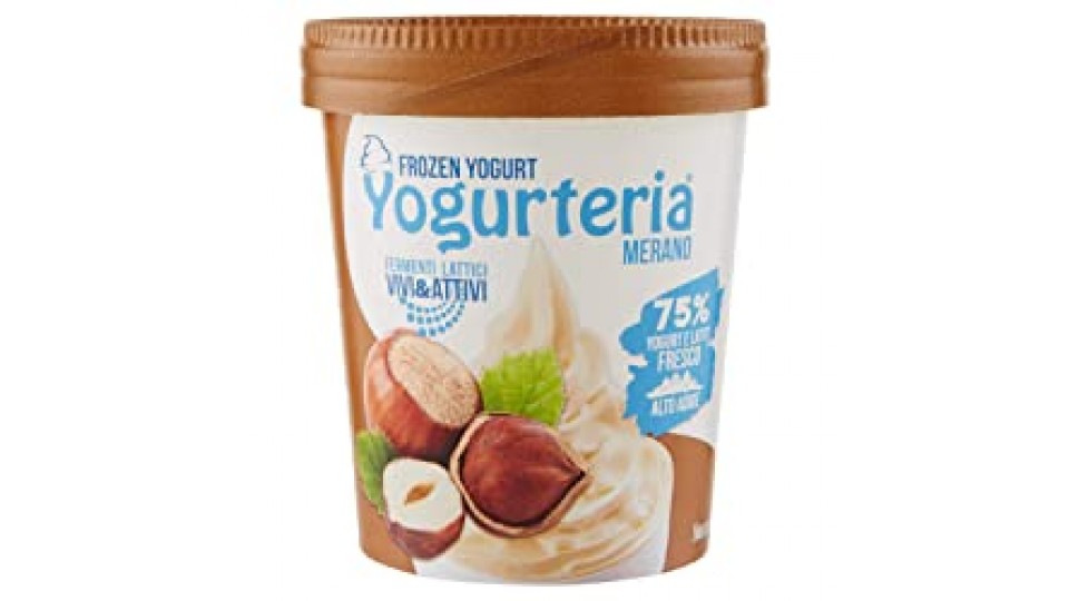 Alpeker - Frozen Yogurt Nocciola Senza Lattosio