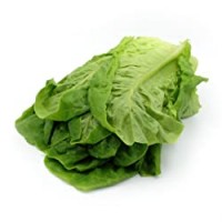 INSALATA ROMANA confezionata