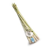 Lemon Grass