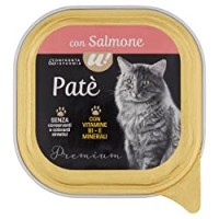 U! Confronta&Risparmia - Pate' Con Salmone Per Gatti