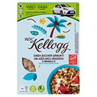 Kellogg's Wkk senza Zuccheri Aggiunti Frutta Secca - 0.300 kg