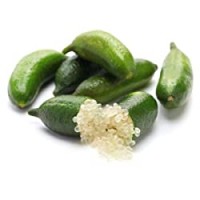 Finger Lime
