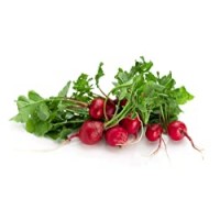 Ravanelli, 150 Gr., Cat. I
