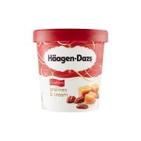 Haagen-Dazs Praline & Cream