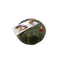 Lorenzini Naturamica OP - Zucca Delica, 1.3kg