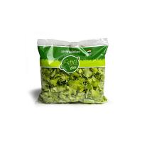 Insalata Lattughino Bio