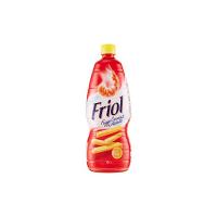 Bertolli, Olio per Friggere
