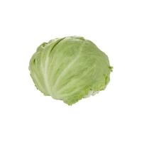 Prodotto Fresco Insalata Iceberg