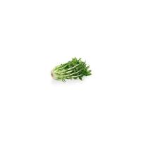 Insalata cicoria con radice, 250-400g