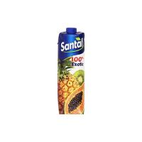 Santal - Succo di Frutta, 100% Exotic