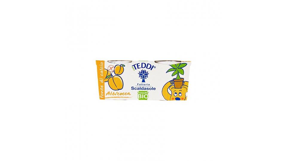 YOG.TEDDI ALBIC.G115X2 BIO