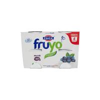 Fruyo 0% - Mirtilli
