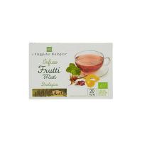 INFUSO FRUTTI MISTI il Viaggiator Biologico