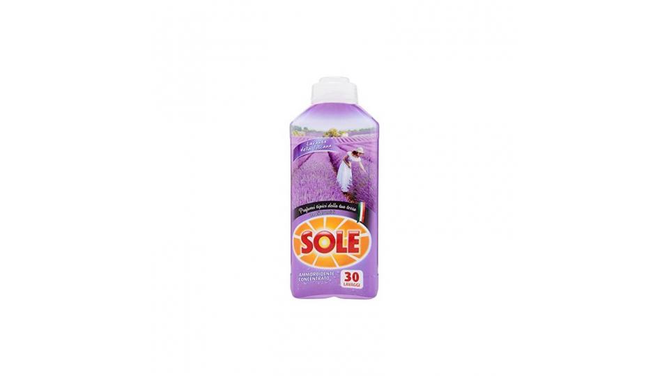 Sole Ammorbidente Lavanda della Toscana