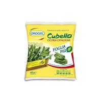 Cicoria Catalogna Cubello Orogel