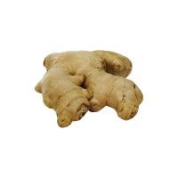Zenzero Origine Peru', 800-1000g