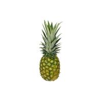 ANANAS (1 pz/unità), 1200-1500g