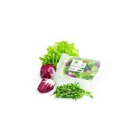 Mix Italia Filogea