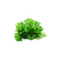 Prezzemolo Vaschetta Filogea