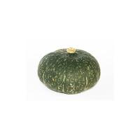 Zucca, 800-1200g