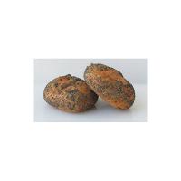 Pane bagel omega