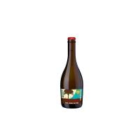 Birra artigianale PomBier speciale alla mela Val di Non