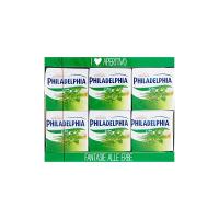 Philadelphia Fantasie Erbe 6x25g