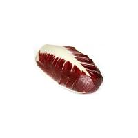 Radicchio Lungo Precoce Puglia, 800-1000g