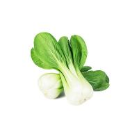 Peviani Pak Choi