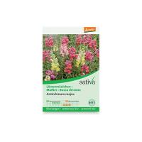 Bocca di leone “Antirrhinum majus” Sativa