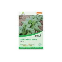 Spinacio “Verdil” Sativa