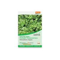 Prezzemolo liscio “petroselinum crispum” Sativa