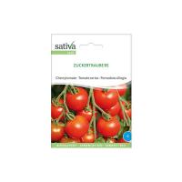 Pomodoro ciliegino “lycopersicon esculentum” Sativa