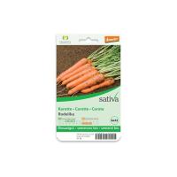 Carota “Rodelika” Sativa