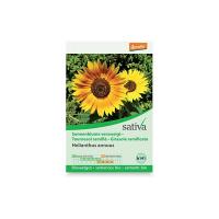 Girasole ramificato “Helianthus annus” Sativa