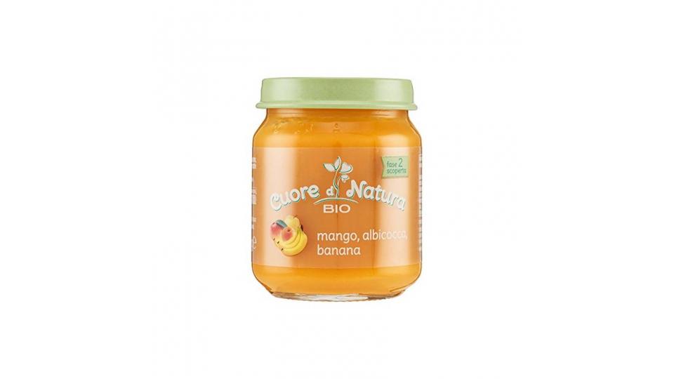Cuore di Natura Omogeneizzato Mango, Albicocca, Banana Bio - Confezione da