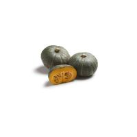 Zucca Ironcup, 800-1200g