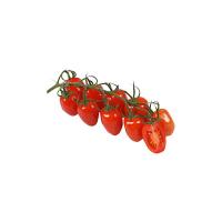 San Marzano Pomodoro Mini