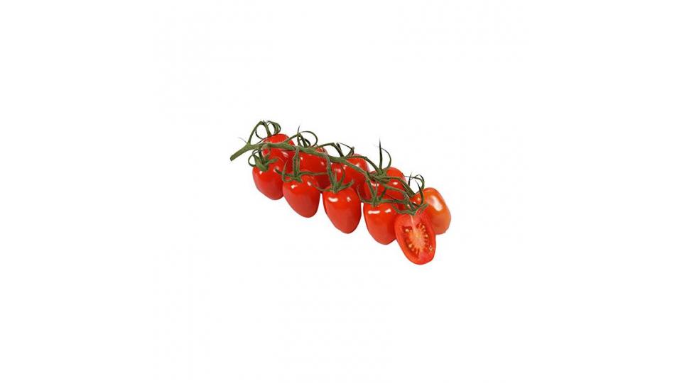 San Marzano Pomodoro Mini