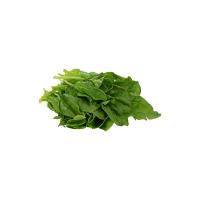 Spinacio Con Radice Toscana, 800-1000g