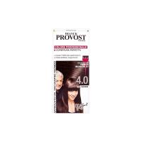 Franck Provost Colore Professionale Copertura Perfetta, 4.0 Castano