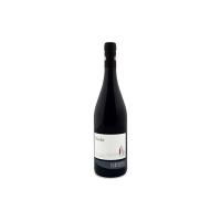 Cantine Produttori di Cortaccia Vino Rosso Merlot - 2016 - 1 Bottiglia da