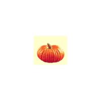 Zucca Hokkaido rossa, 800-1200g