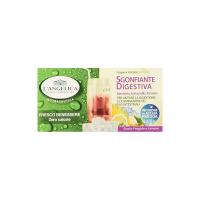 L'Angelica - Tisana a Freddo Sgonfiante Digestiva, Gusto Fragola e Limone - 2 confezioni da 15 filtri [30 filtri, 100 g]