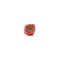 Castagne in rete