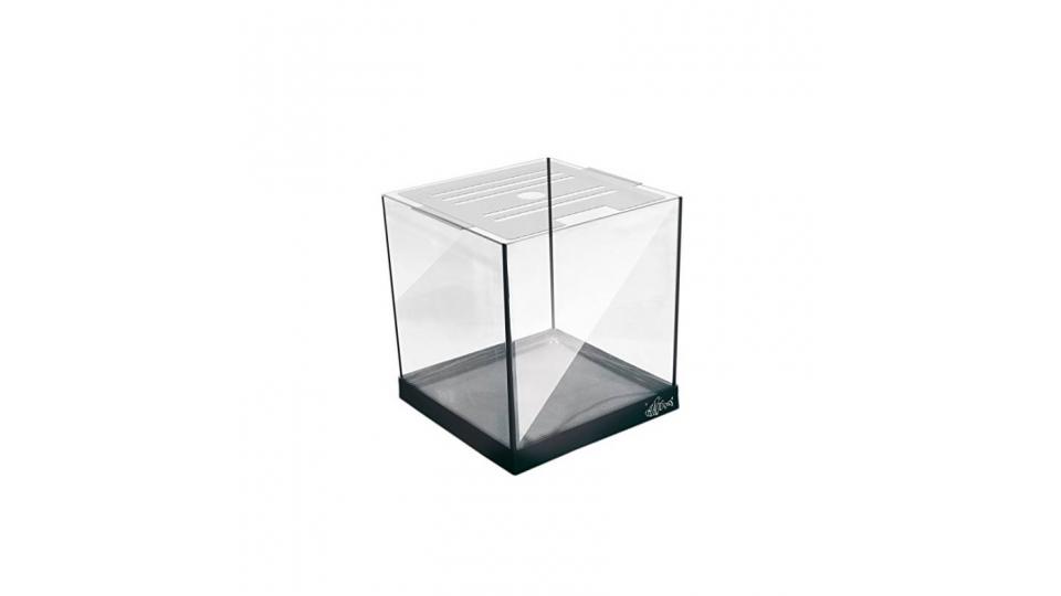 Haquoos Nanokubus 25 Acquario 25X25X30H cm