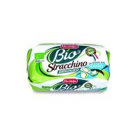 Stracchino con fermenti lattici vivi dello yogurt Bustaffa