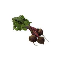 Barbabietola Rossa Con Foglie, 800-1000g