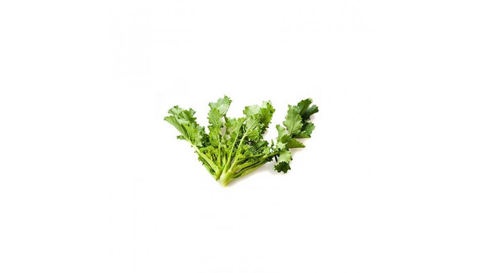Cima di rapa confezionata e pulita